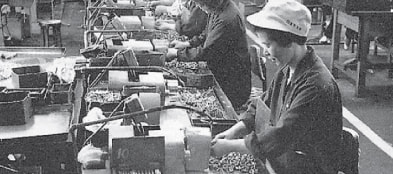 Company Overview and History