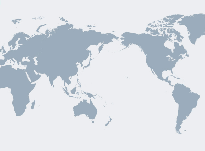 Global network